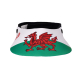 ahg-Anschütz Welsh Flag Visor