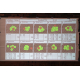 Megalink Software - MLView